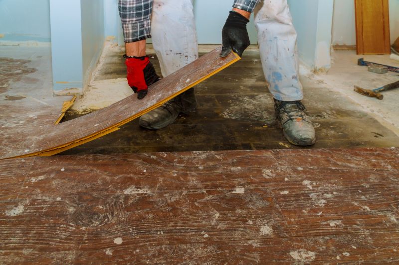 Hardwood Floor Demolition